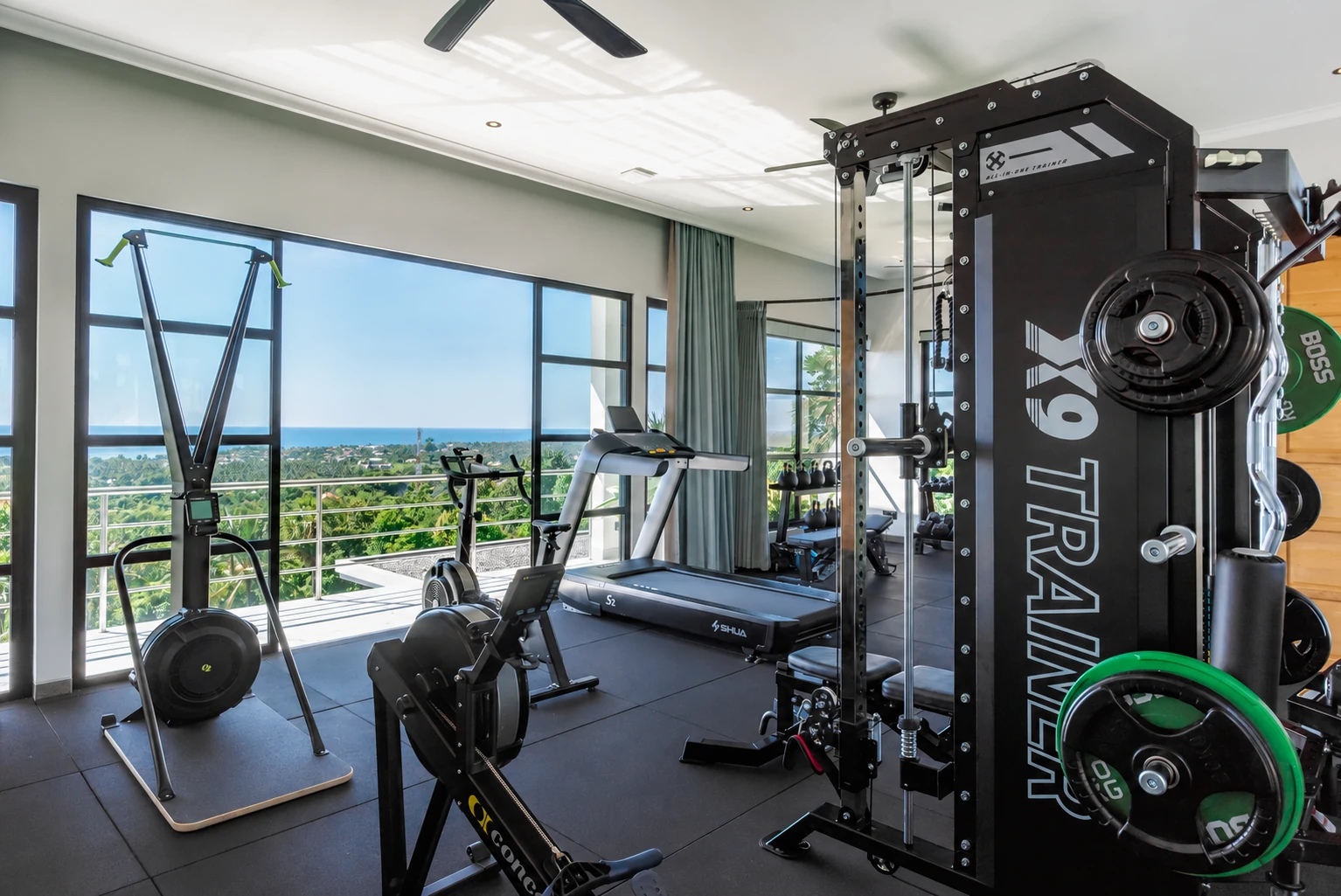 Private gym with rack, cardio equipment and large sea-view windows.